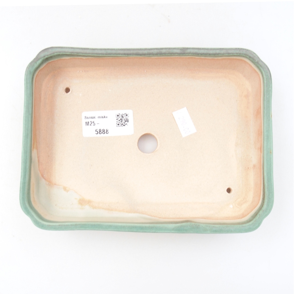 Ciotola bonsai in ceramica 22 x 17 x 5 cm, verde