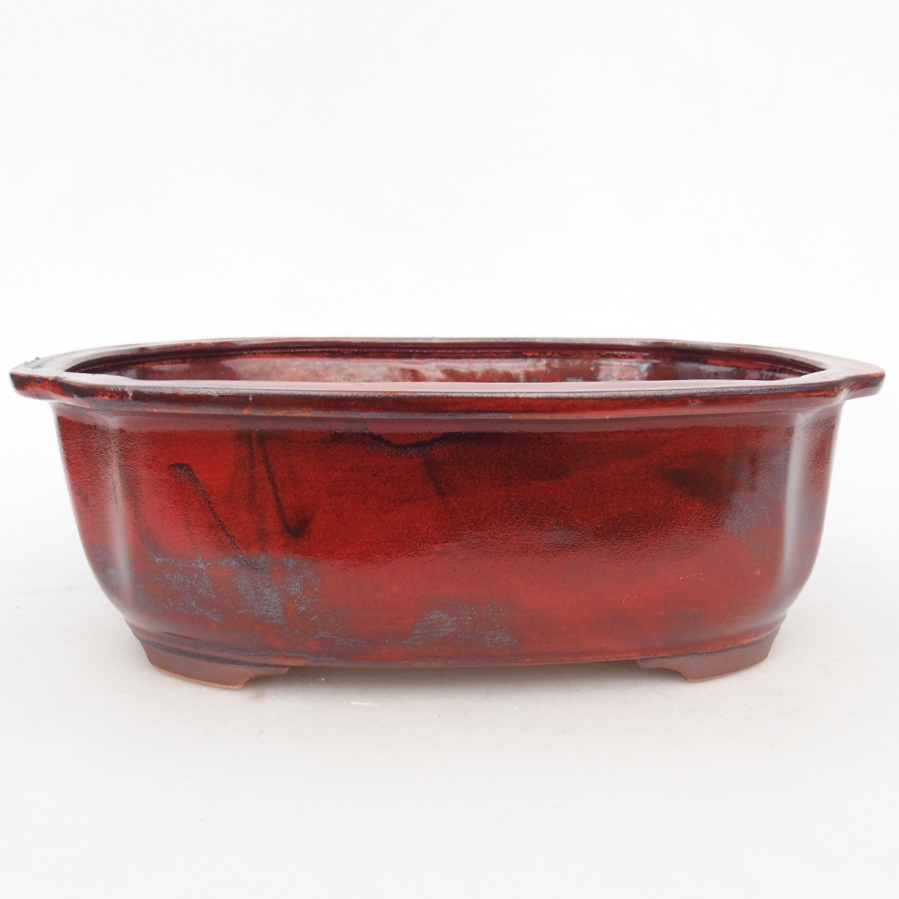 Ciotola per bonsai in ceramica 22 x 18 x 7,5 cm, colore rosso