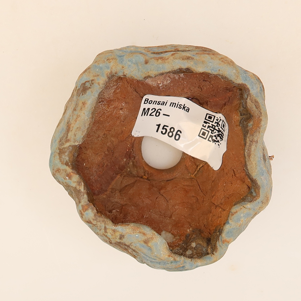 Guscio in ceramica  5,5 x 5,5 x 4,5 cm, colore blu