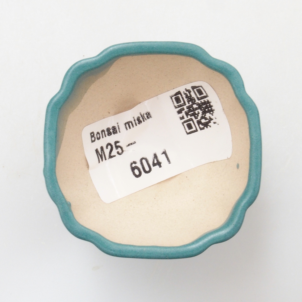 Ciotola bonsai in ceramica 6,5 x 5,5 x 4 cm, colore blu