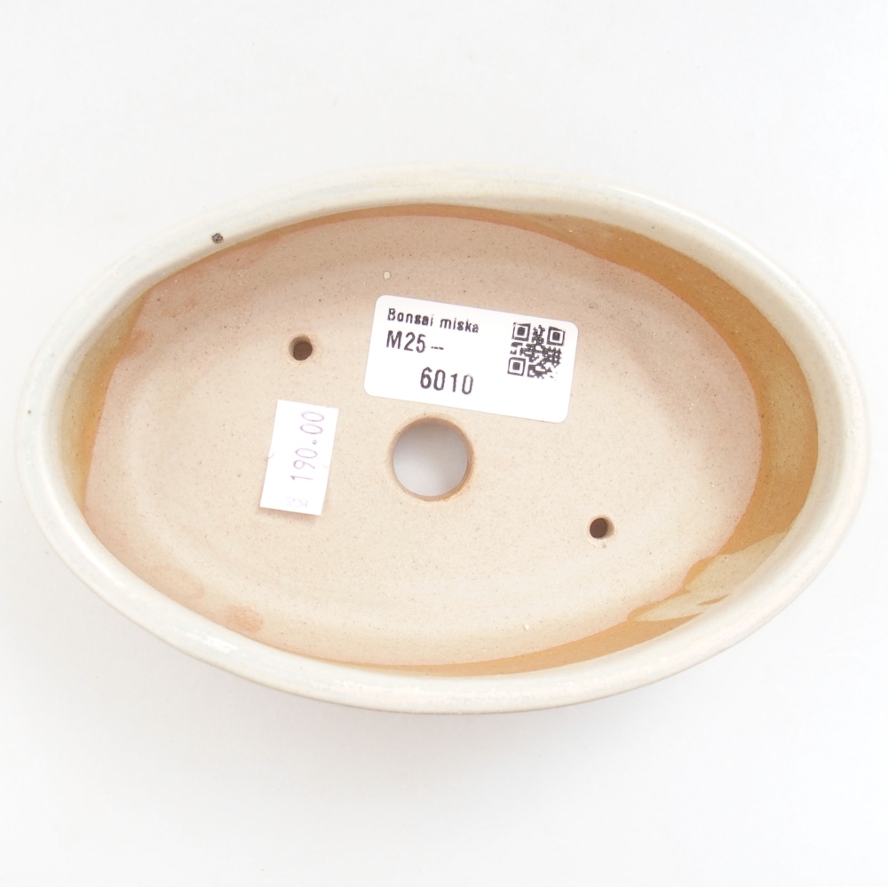 Ciotola bonsai in ceramica 22 x 17 x 5 cm, verde