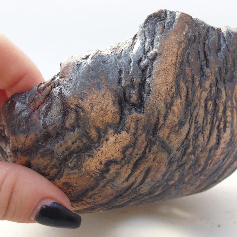 Conchiglia in ceramica 13,5 x 12,5 x 7,5 cm , colore marrone