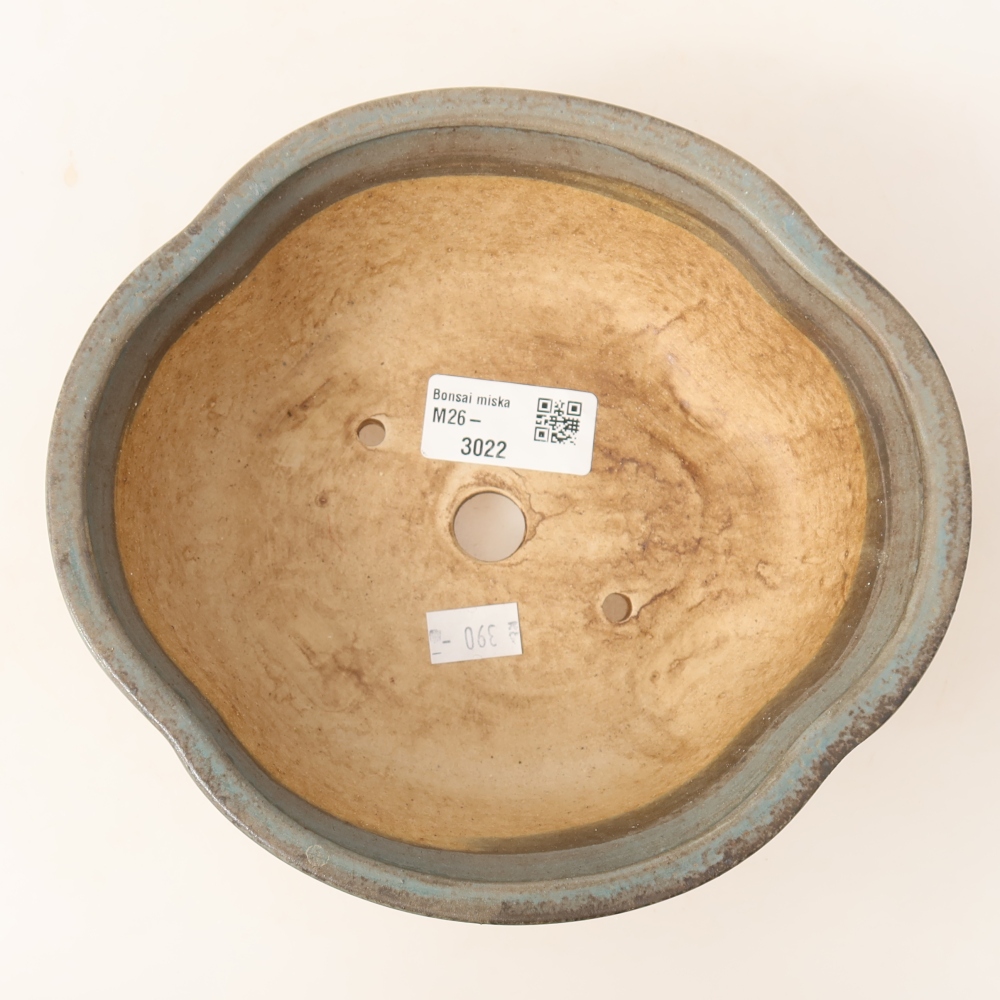 Vaso da bonsai in ceramica 18,5 x 16,5 x 6 cm, colore blu