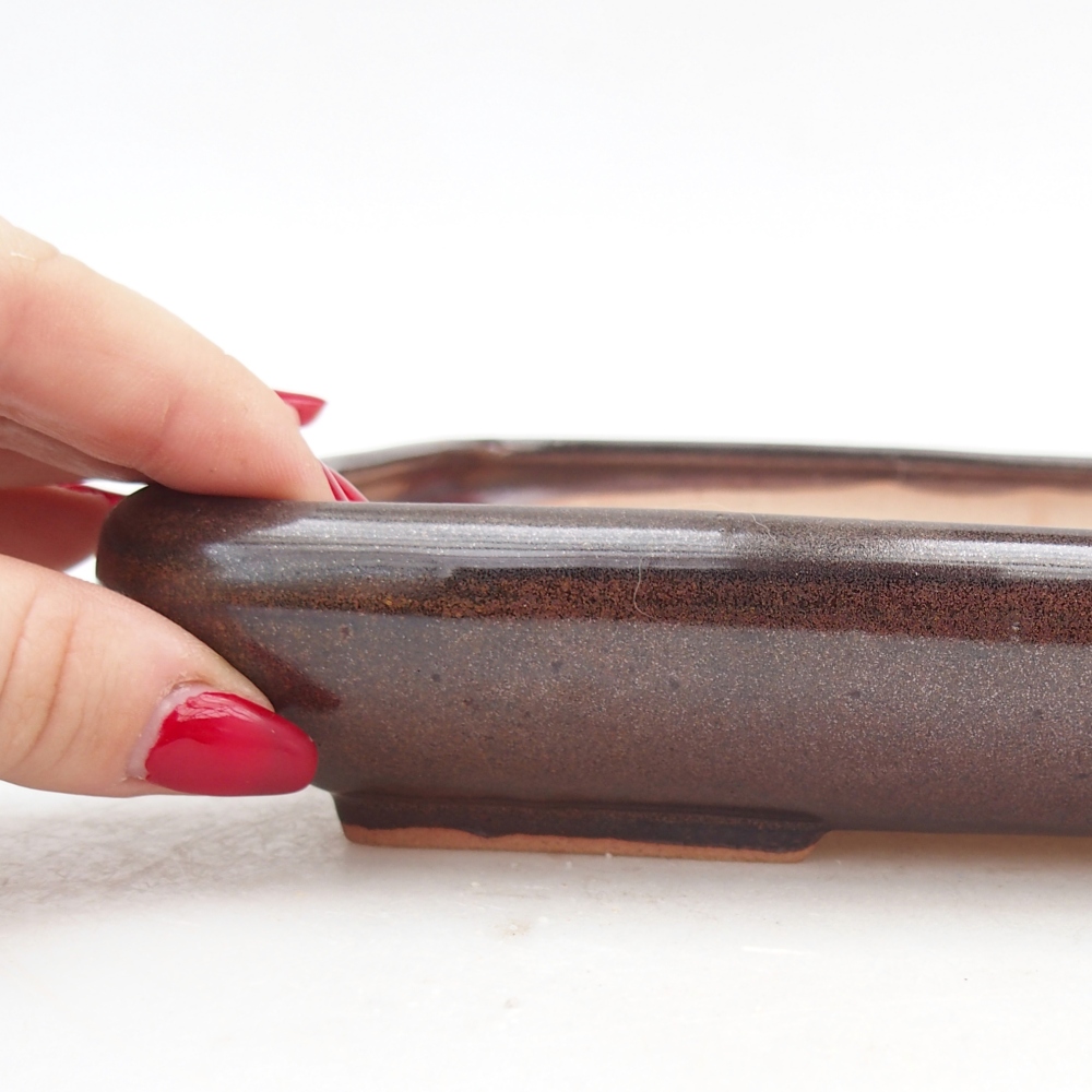 Ciotola per bonsai in ceramica 24 x 17,5 x 4 cm, marrone