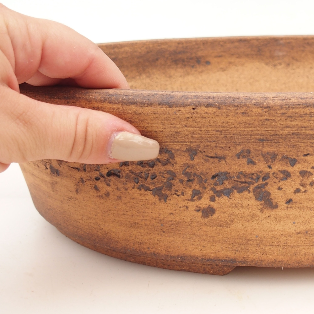 Ciotola per bonsai 32,5 x 25 x 8 cm , colore marrone