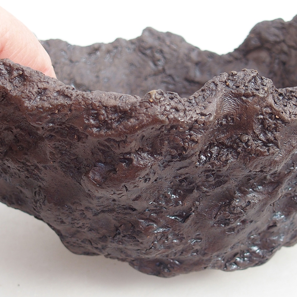 Conchiglia in ceramica 18 x 16 x 15 cm , colore marrone