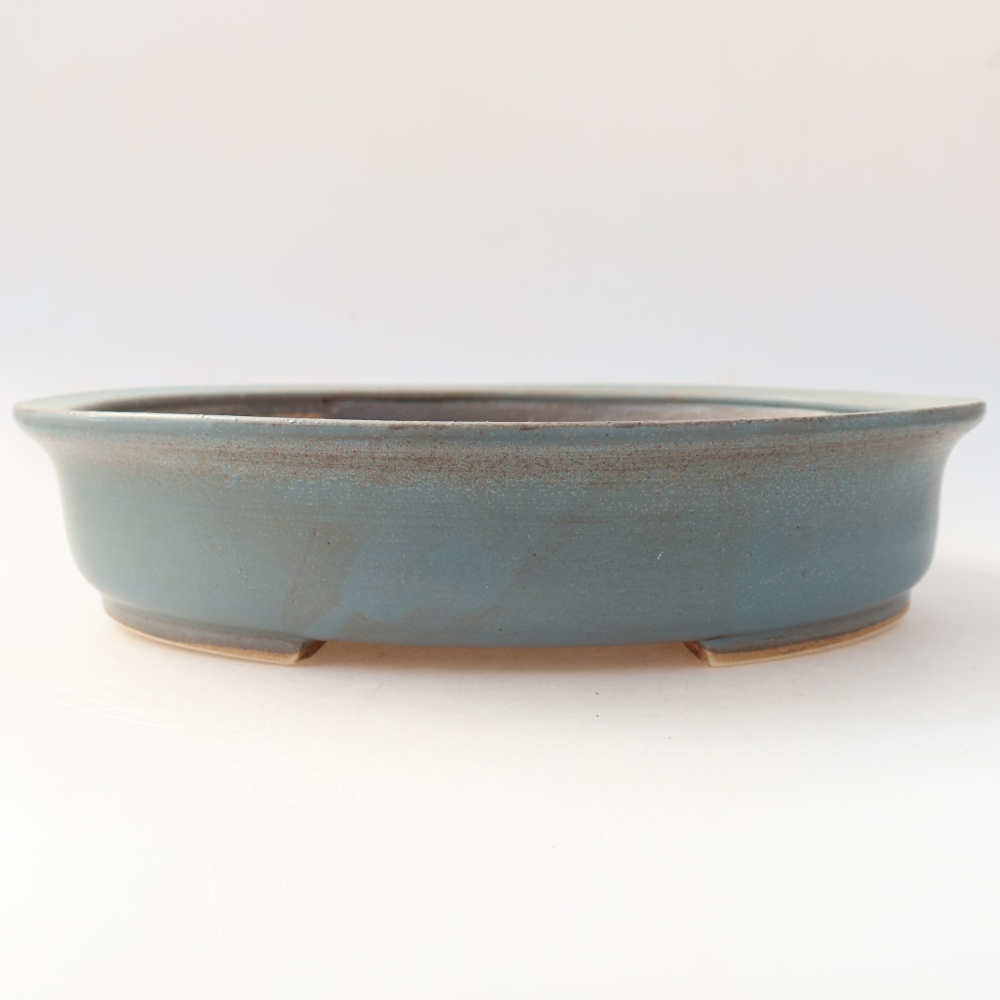 Vaso da bonsai in ceramica 26 x 24 x 6 cm, colore blu