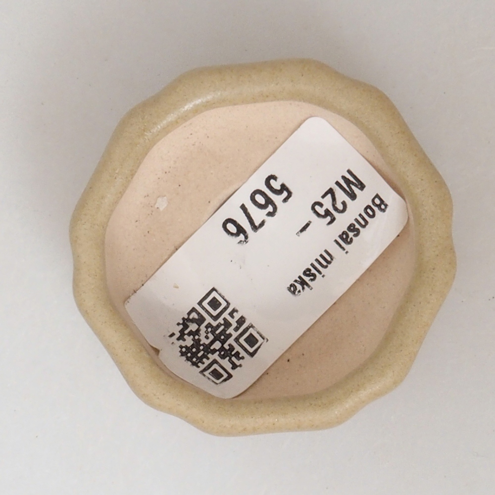 Mini ciotola per bonsai 4,5 x 4,5 x 2 cm, marrone