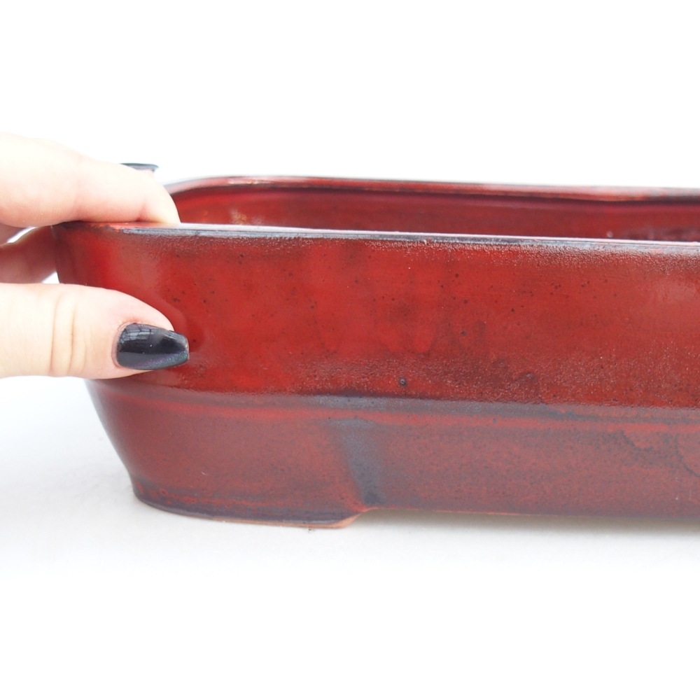 Ciotola per bonsai in ceramica 28,5 x 21 x 7,5 cm, colore rosso