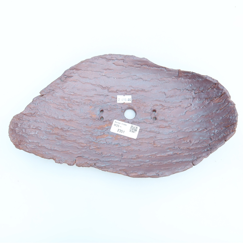 Guscio in ceramica  30,5 x 19 x 6 cm, colore marrone