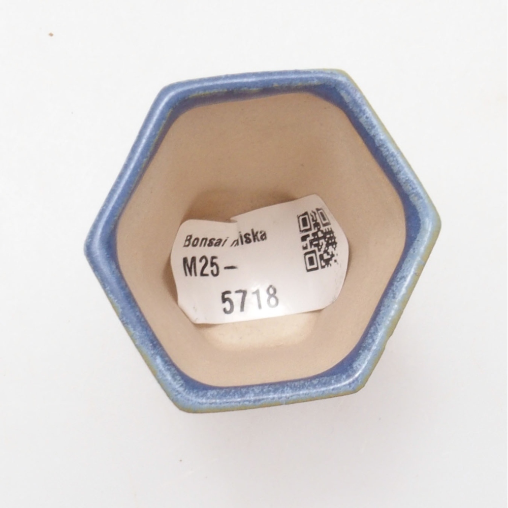 Mini bonsai 4,5 x 4,5 x 6,5 cm, colore blu