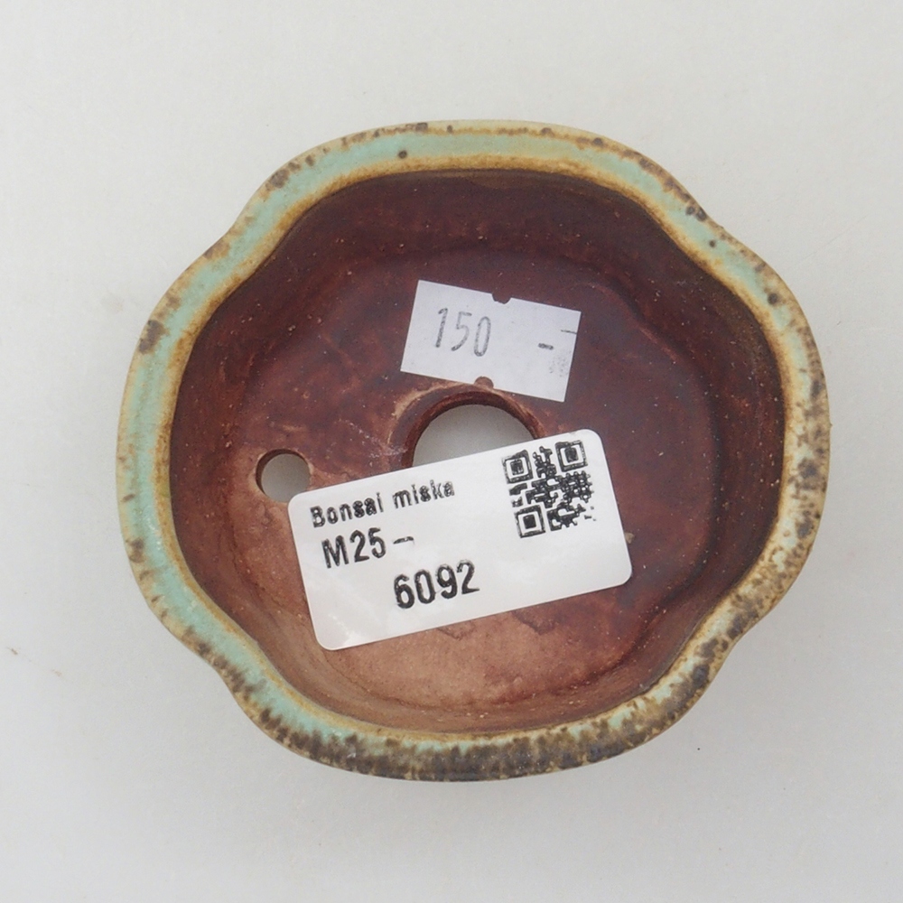 Ciotola per bonsai in ceramica 10 x 8,5 x 4 cm, marrone