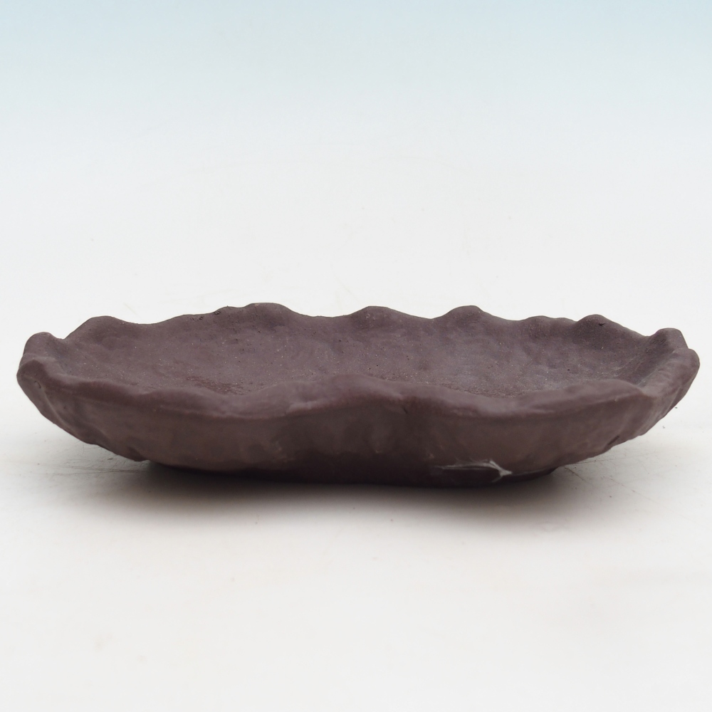 Conchiglia in ceramica 17 x 12 x 3 cm , colore marrone