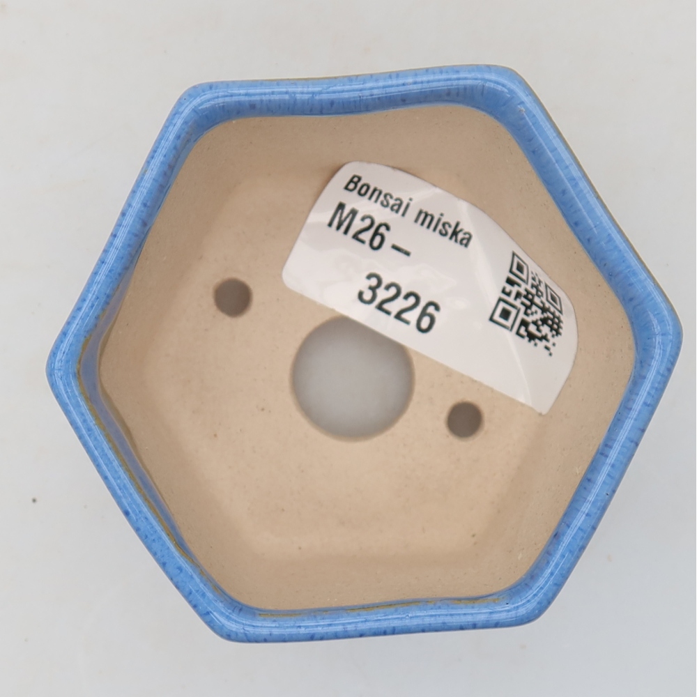 Vaso in ceramica per bonsai 7 x 6 x 4,5 cm, colore blu
