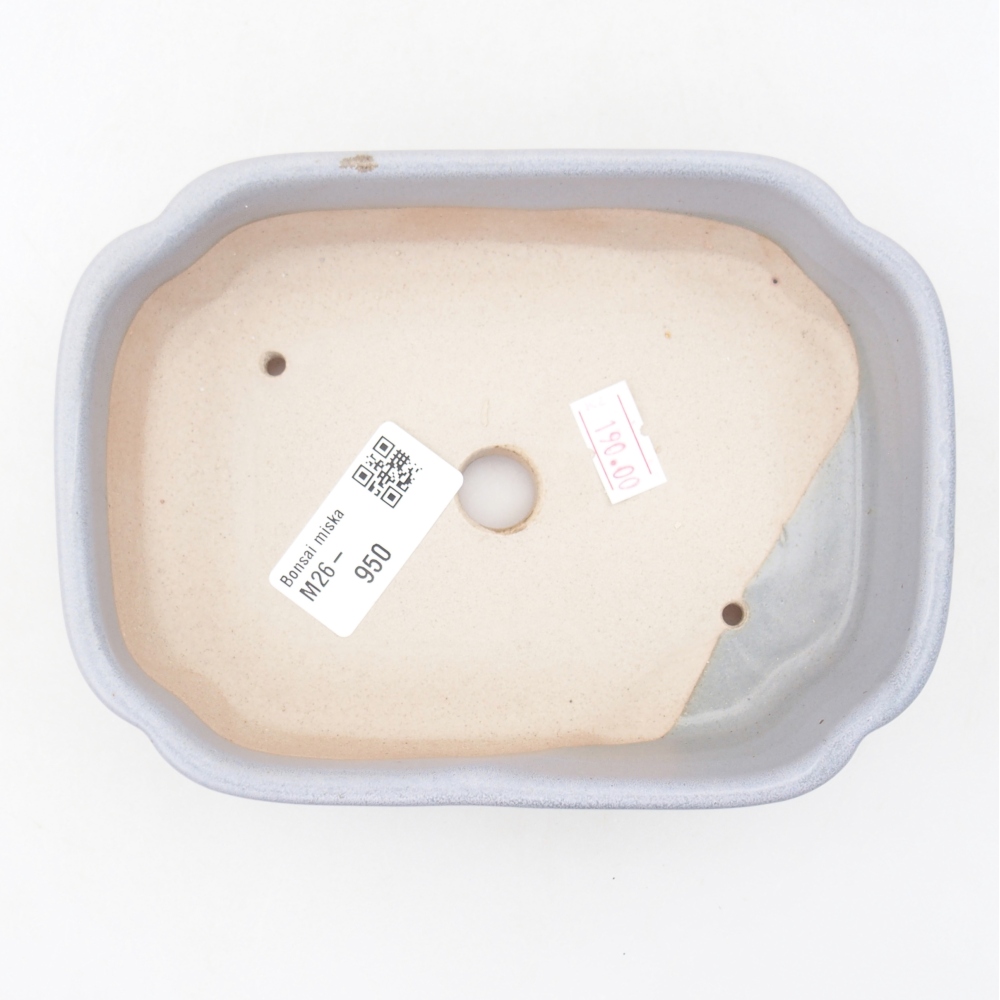 Ciotola per bonsai in ceramica 15,5 x 11,5 x 4 cm, colore blu