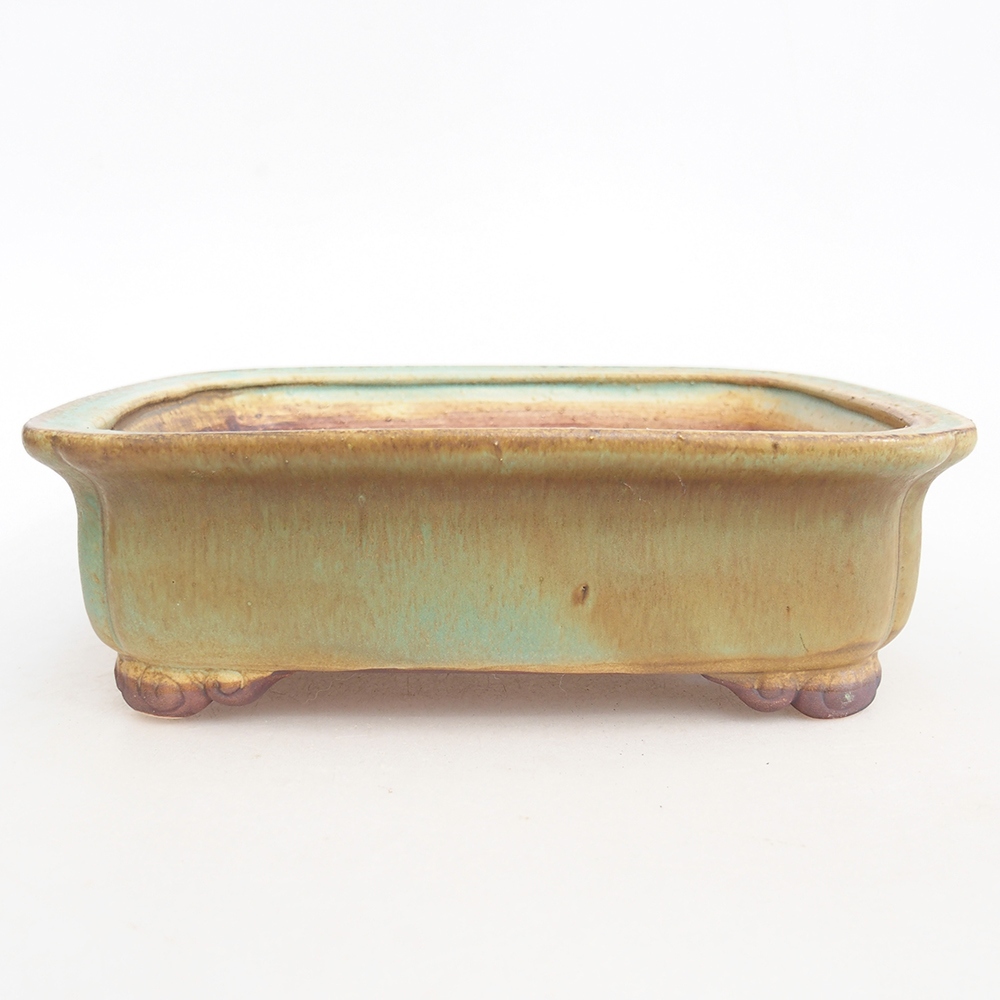 Ciotola per bonsai in ceramica 20 x 17 x 6 cm, verde