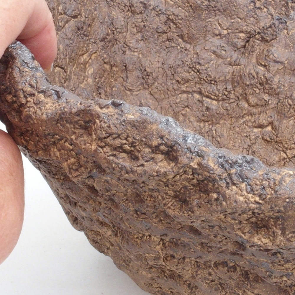 Conchiglia in ceramica 22 x 20 x 20,5 cm , colore marrone