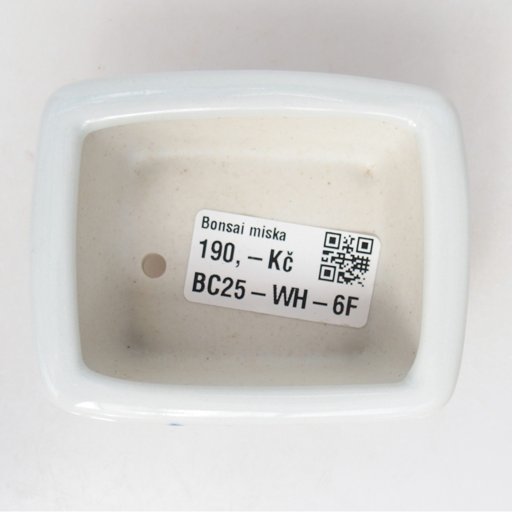 Mini bonsai 8 x 6,5 x 3,5 cm, bianco