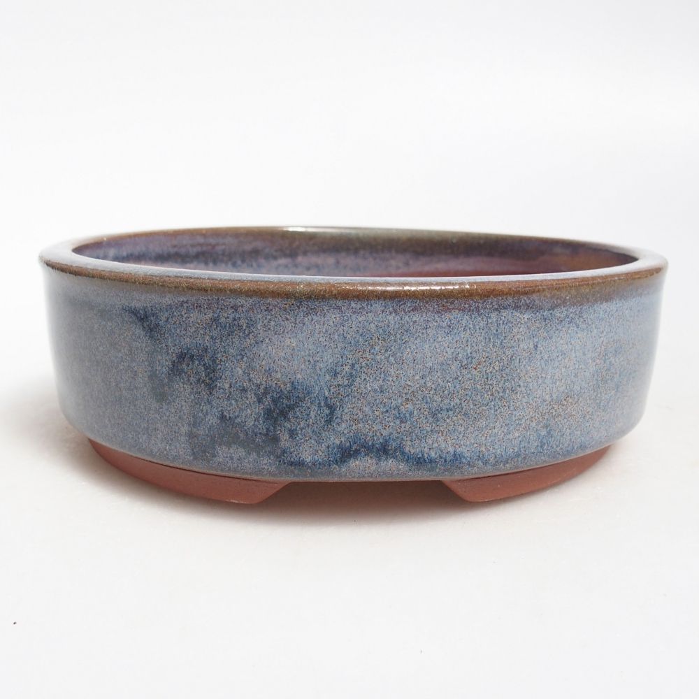 Ciotola bonsai in ceramica 16 x 16 x 5 cm, colore blu