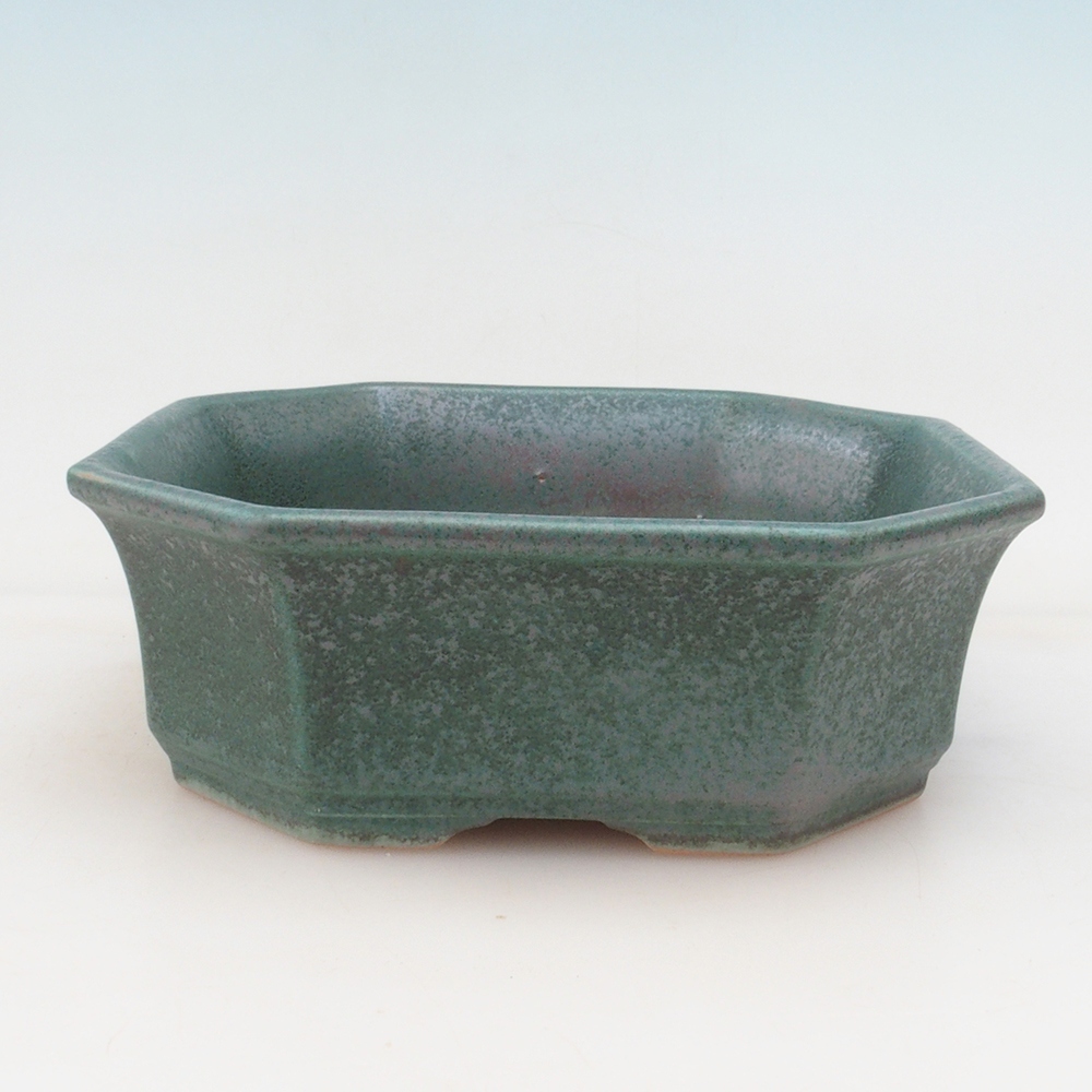 Ciotola per bonsai H14 - 17,5 x 17,5 x 6 - verde