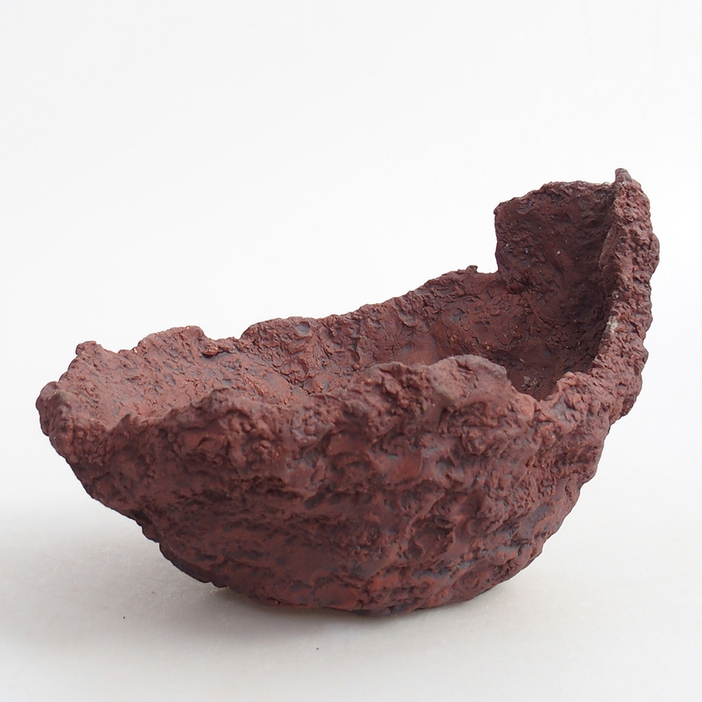 Conchiglia in ceramica 13 x 11,5 x 10,5 cm , colore marrone