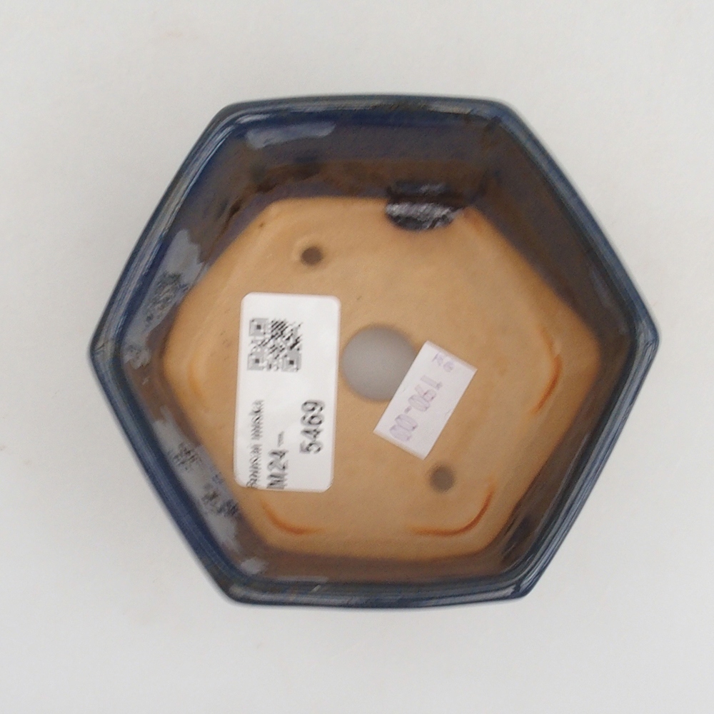 Ciotola bonsai in ceramica 9,5 x 9 x 4,5 cm, colore blu