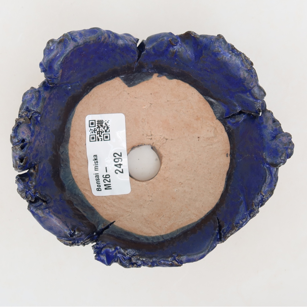 Guscio in ceramica  11,5 x 10,5 x 5,5 cm, colore blu