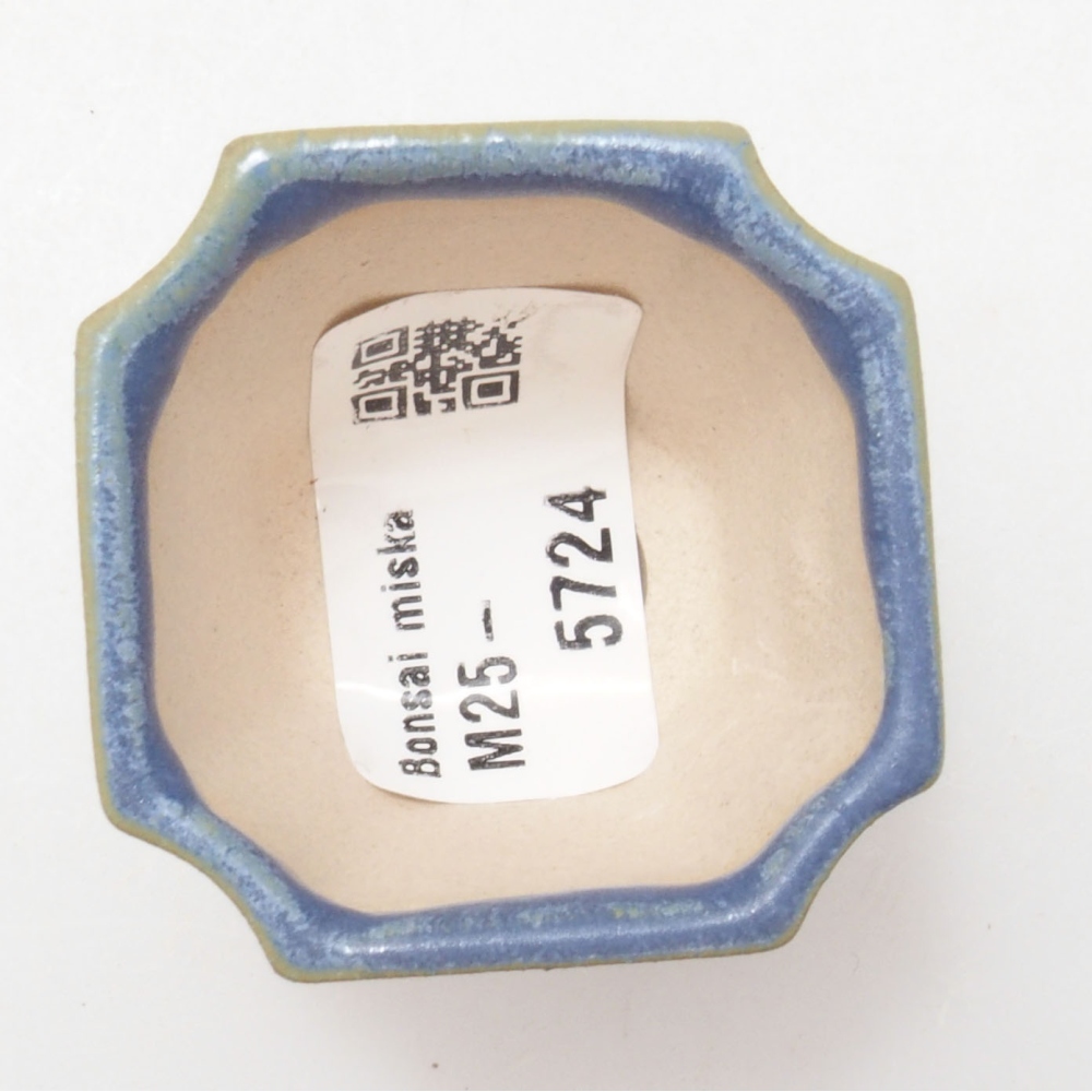 Mini bonsai 4 x 4 x 4 cm, colore blu