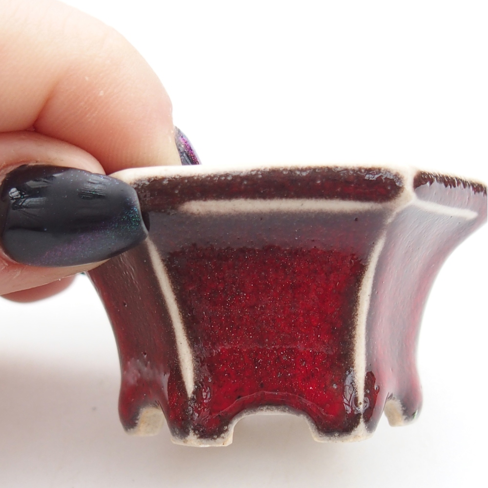 Mini bonsai 5,5 x 5 x 3 cm, colore rosso