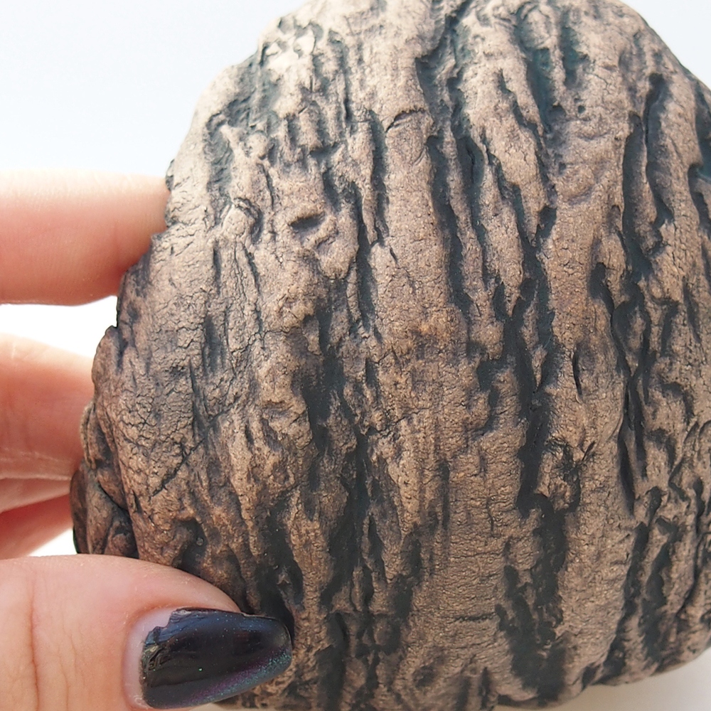 Conchiglia in ceramica 10 x 9,5 x 10 cm , colore marrone