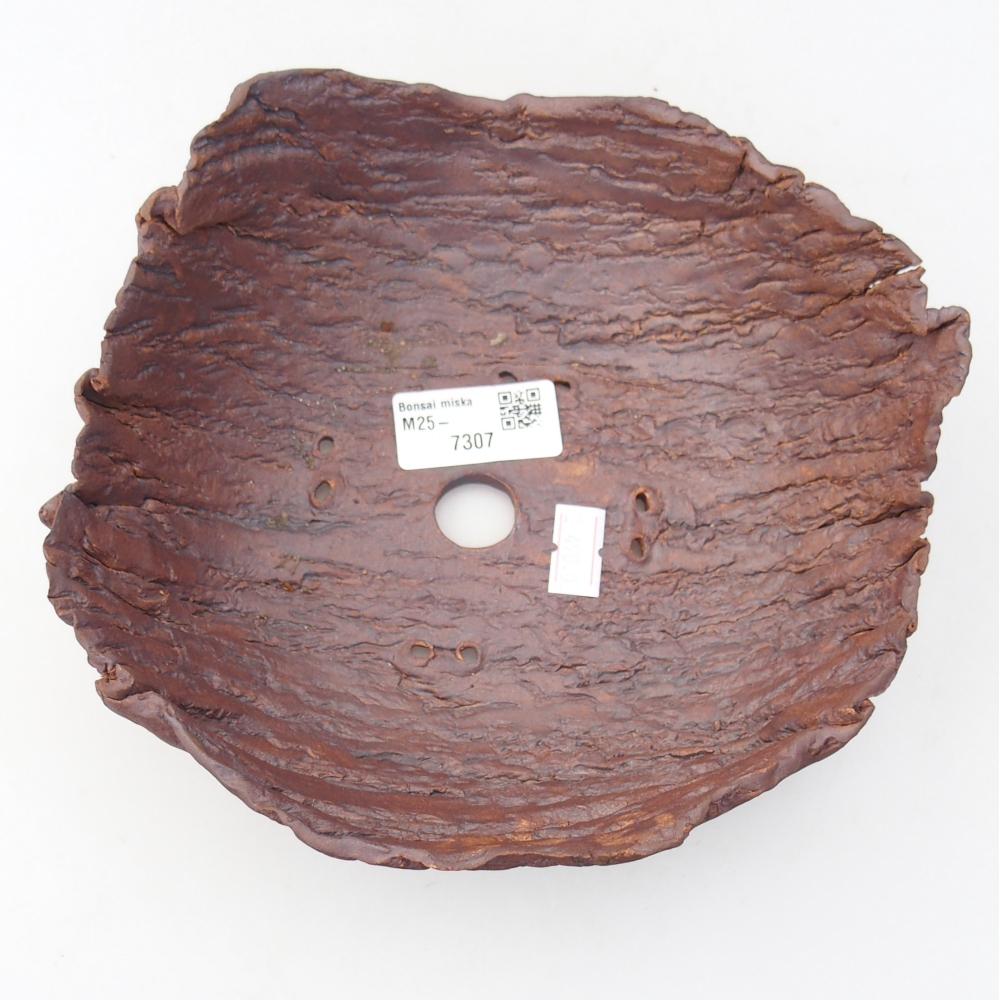 Conchiglia in ceramica 20 x 17,5 x 7 cm , colore marrone