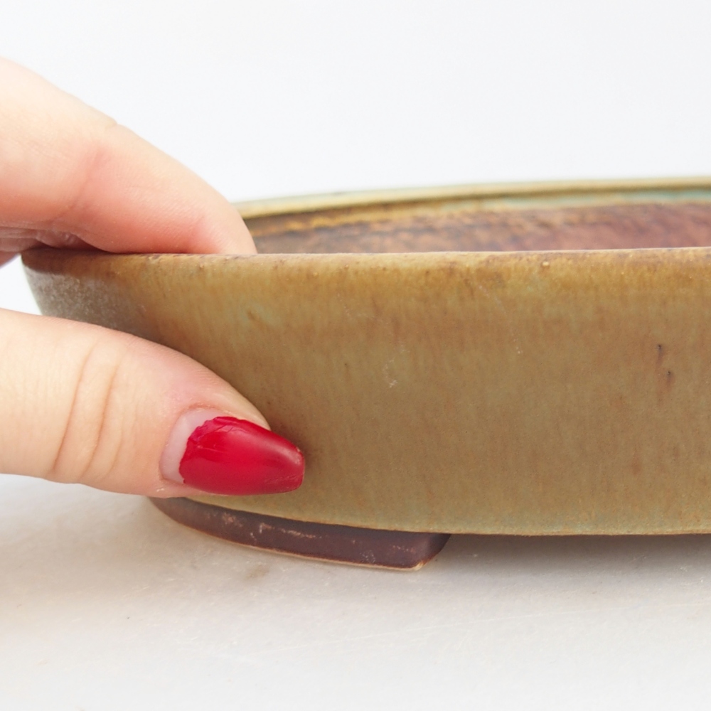 Ciotola bonsai in ceramica 23 x 20 x 4,5 cm, verde