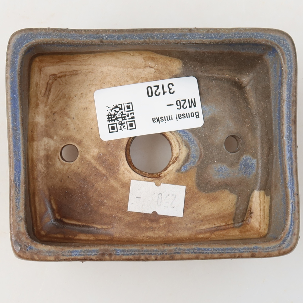 Vaso da bonsai in ceramica 10 x 8 x 4 cm, colore blu