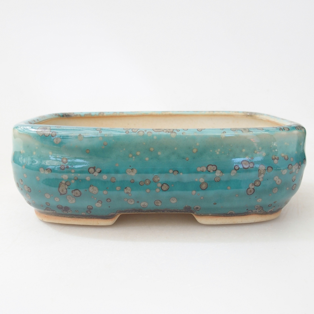 Ciotola 14,5 x 10,5 x 5 cm colore blu