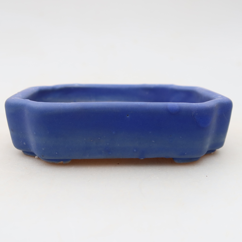 Ciotola per bonsai in ceramica 10 x 8 x 2,5 cm, colore blu