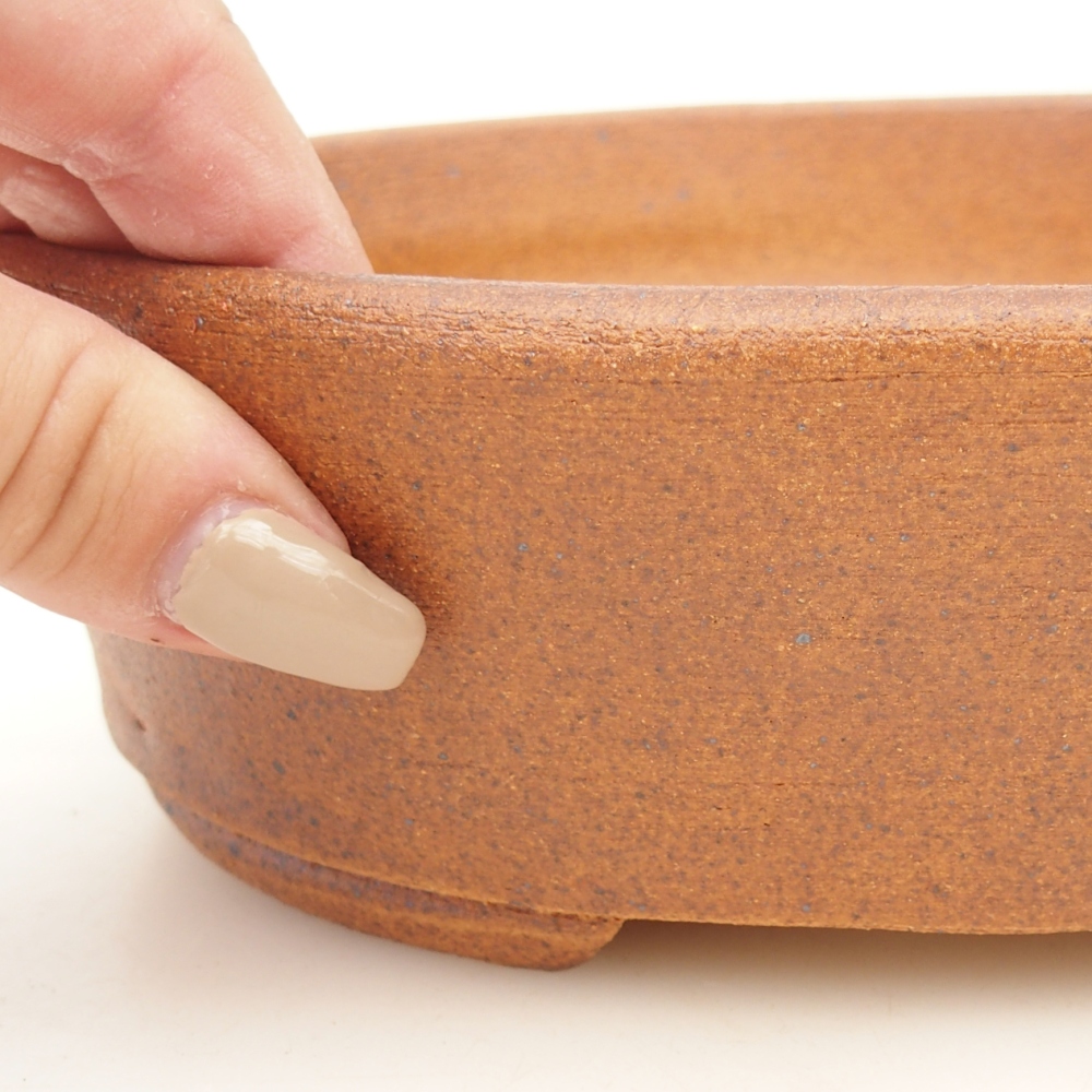 Ciotola per bonsai 19,5 x 16 x 6 cm , colore marrone