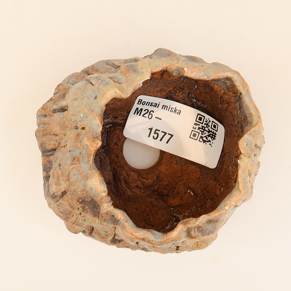 Guscio in ceramica  5,5 x 5 x 6 cm, colore blu