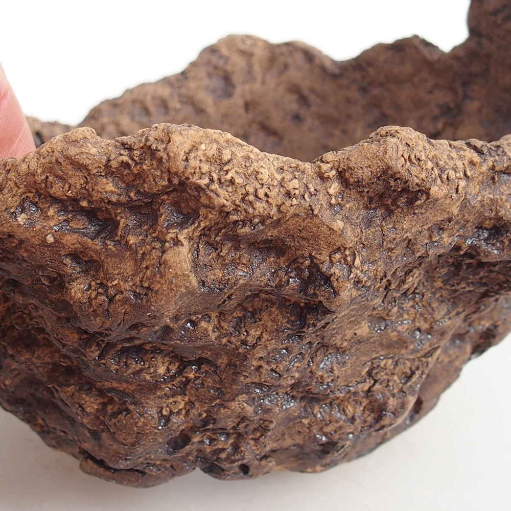 Conchiglia in ceramica 13,5 x 12 x 11,5 cm , colore marrone