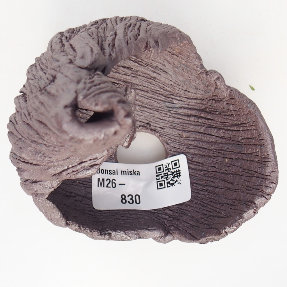 Conchiglia in ceramica 8 x 9 x 12,5 cm, colore metallizzato