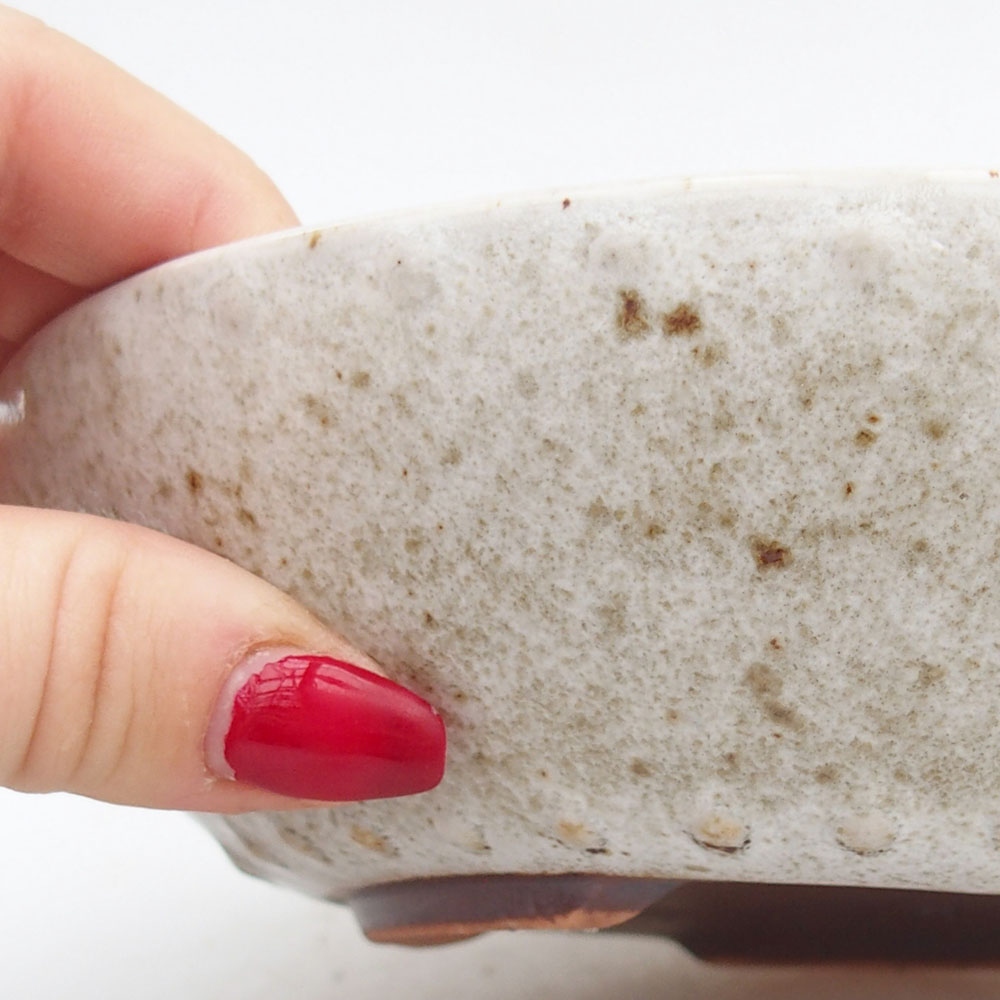 Ciotola per bonsai in ceramica 17,5 x 17,5 x 4,5 cm, colore bianco