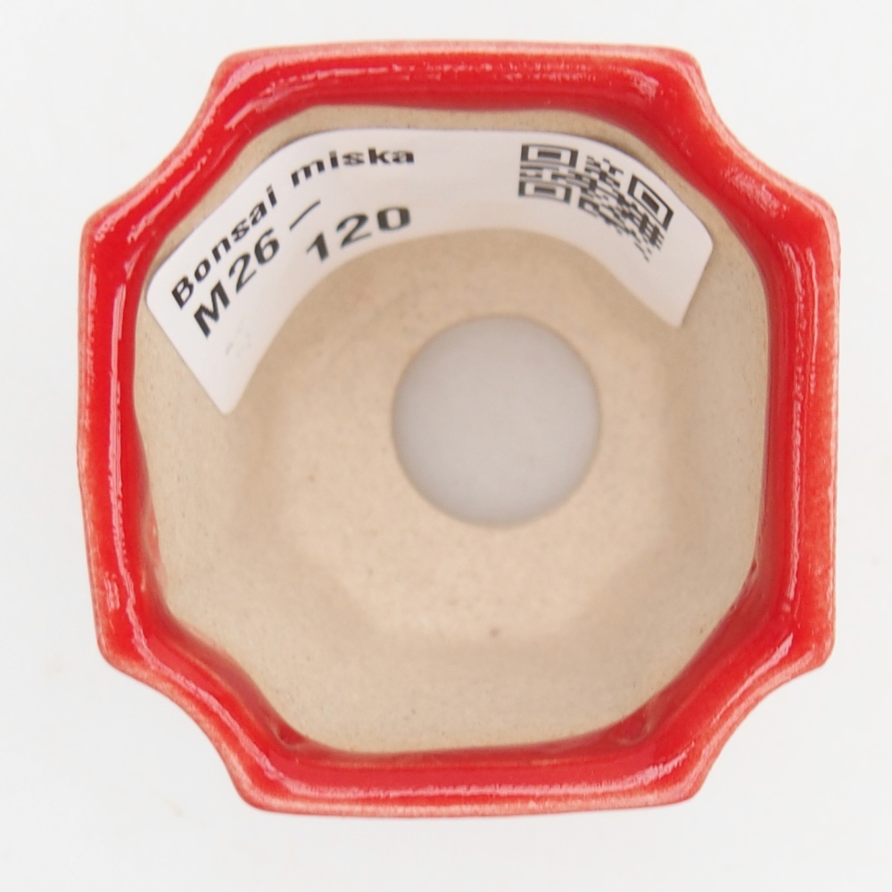 Mini bonsai 4,5 x 4,5 x 4 cm, colore rosso