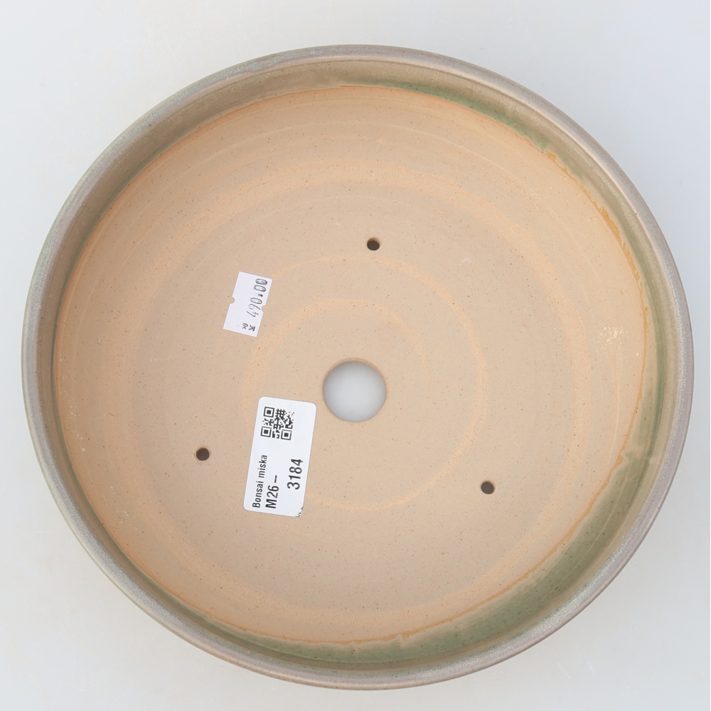 Ciotola per bonsai in ceramica 20,5 x 20,5 x 6 cm, colore beige