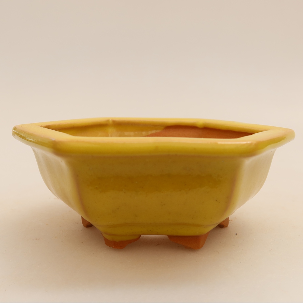 Vaso da bonsai in ceramica 12 x 10,5 x 4 cm, colore giallo