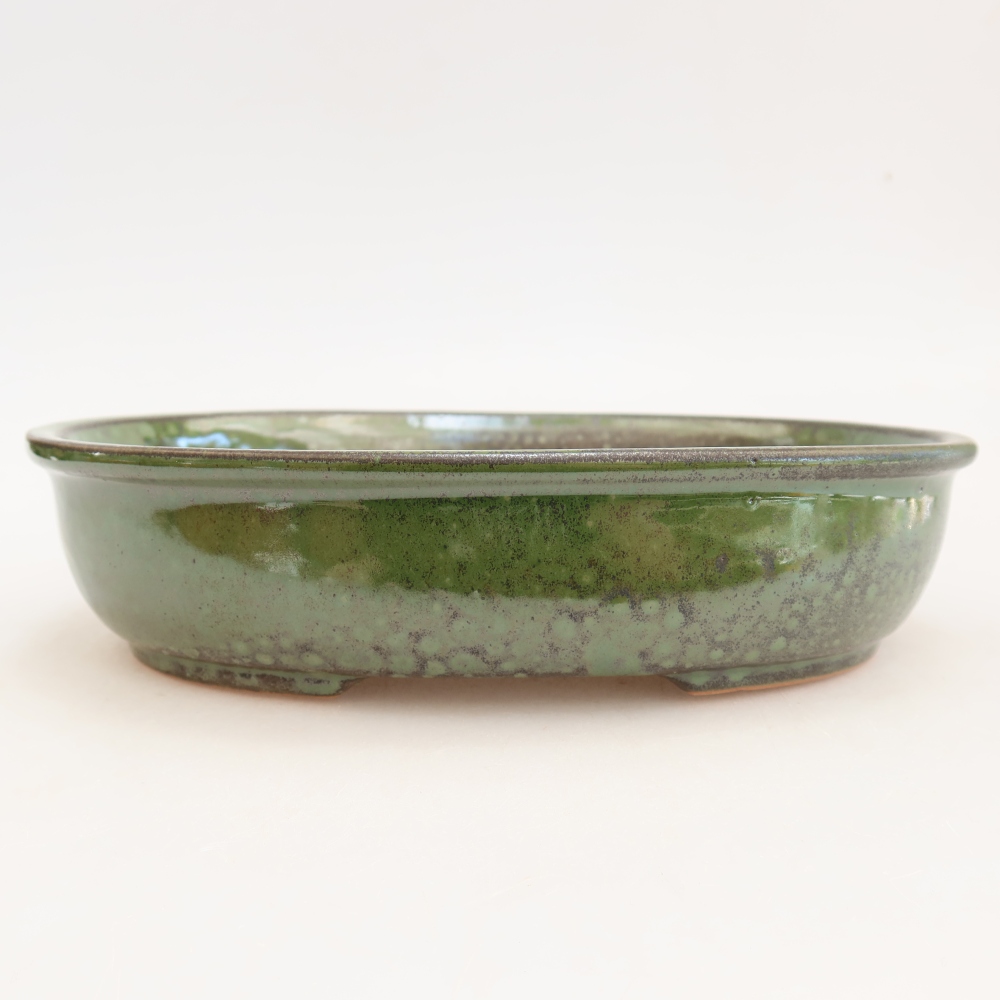 Ciotola bonsai in ceramica 22 x 17 x 5 cm, verde