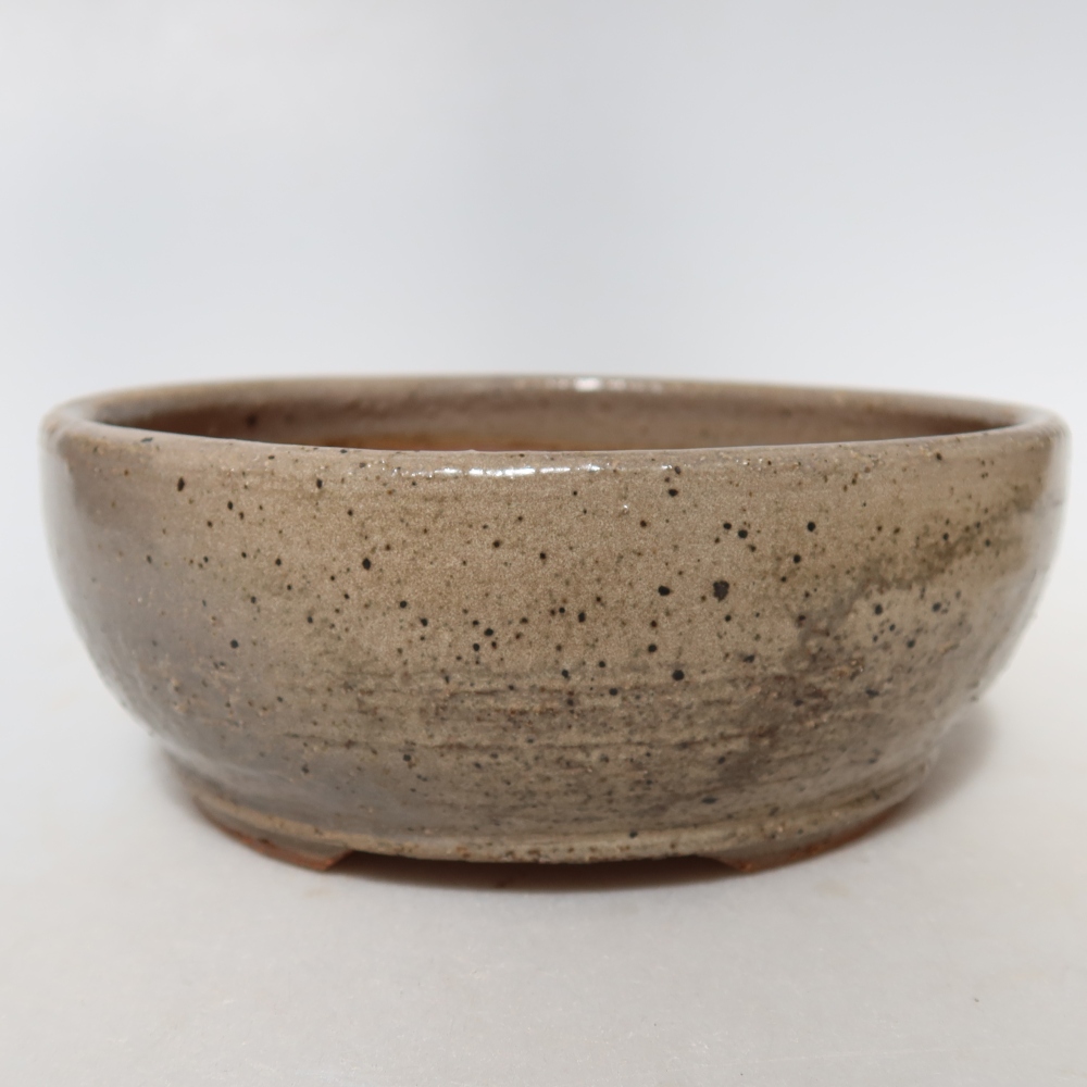 Vaso da bonsai in ceramica 14 x 14 x 5,5 cm, colore beige