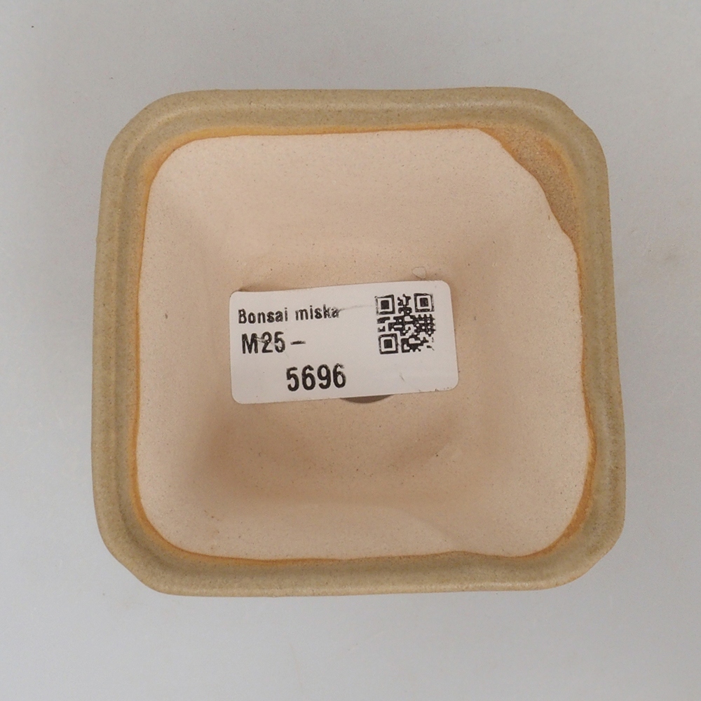 Mini bonsai 7,5 x 7,5 x 4,5 cm, marrone
