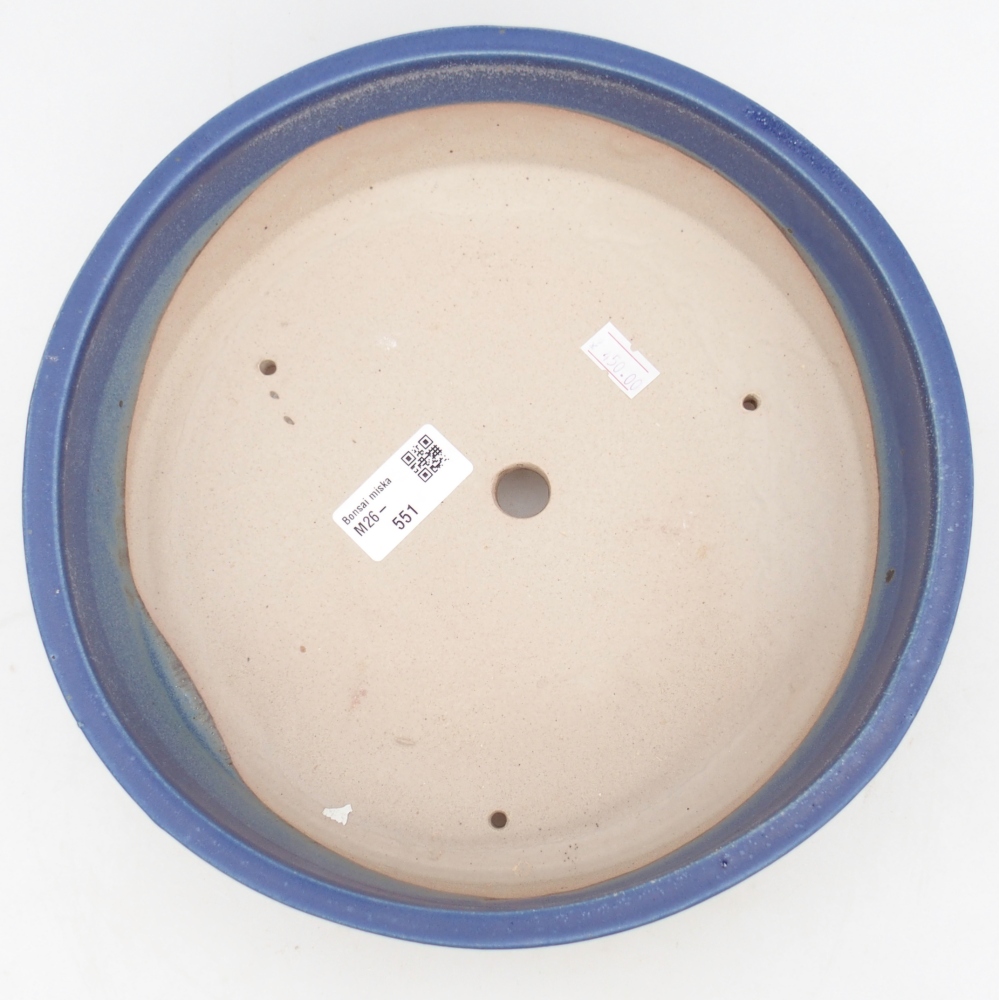 Ciotola bonsai in ceramica 24,5 x 24,5 x 7 cm, colore blu