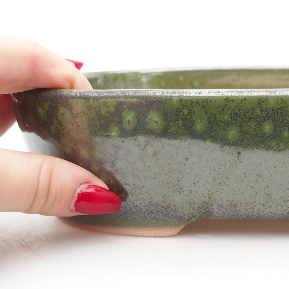 Ciotola per bonsai in ceramica 22,5 x 17 x 6 cm, verde