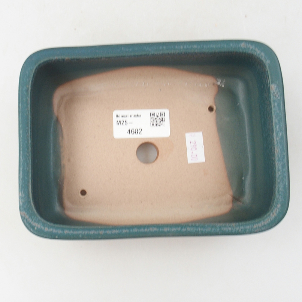 Ciotola bonsai in ceramica 17 x 12 x 5,5 cm, colore blu