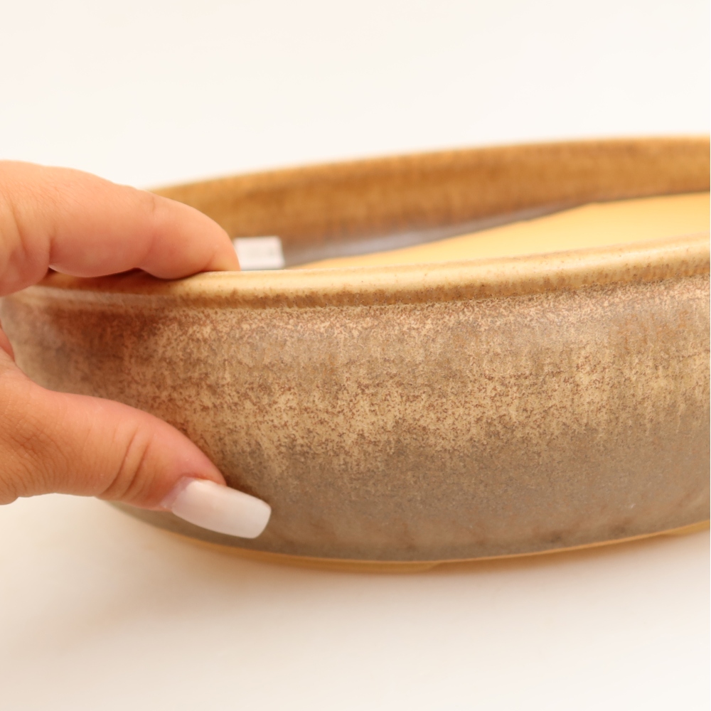 Vaso da bonsai in ceramica 31 x 31 x 8 cm, colore beige